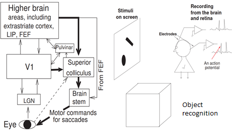 V1SH Online Training